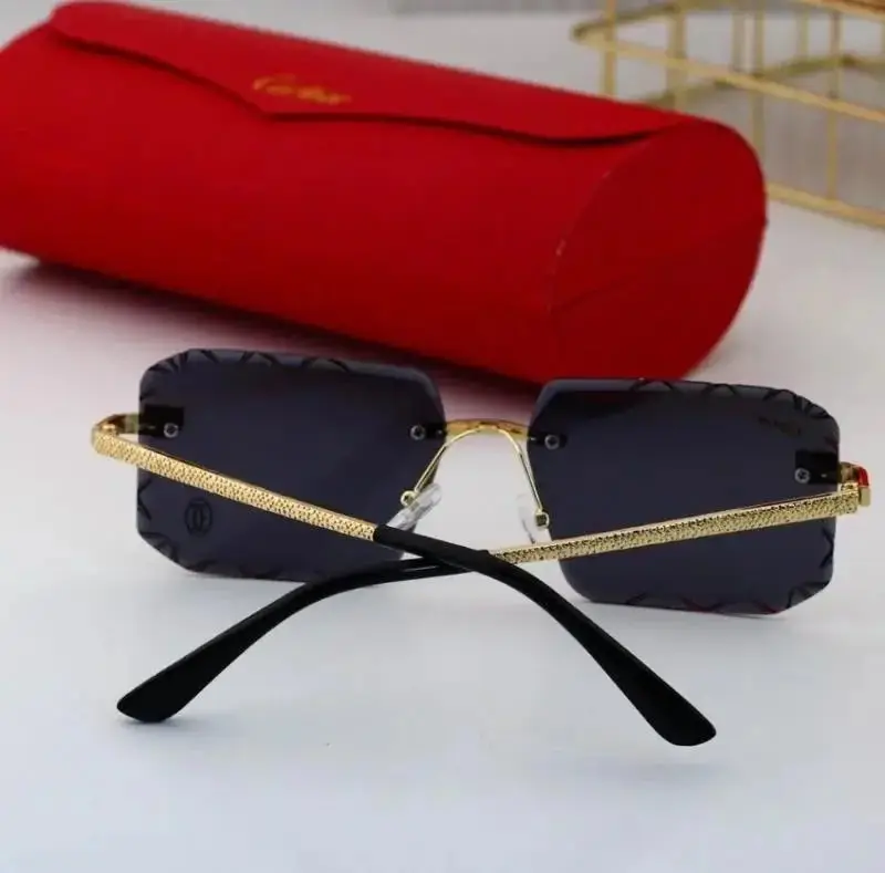 Cartier Sunglasses — foto 10 de 10