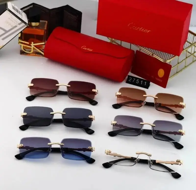 Cartier Sunglasses — foto 2 de 10