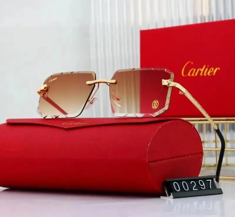 Cartier Sunglasses — foto 5 de 10