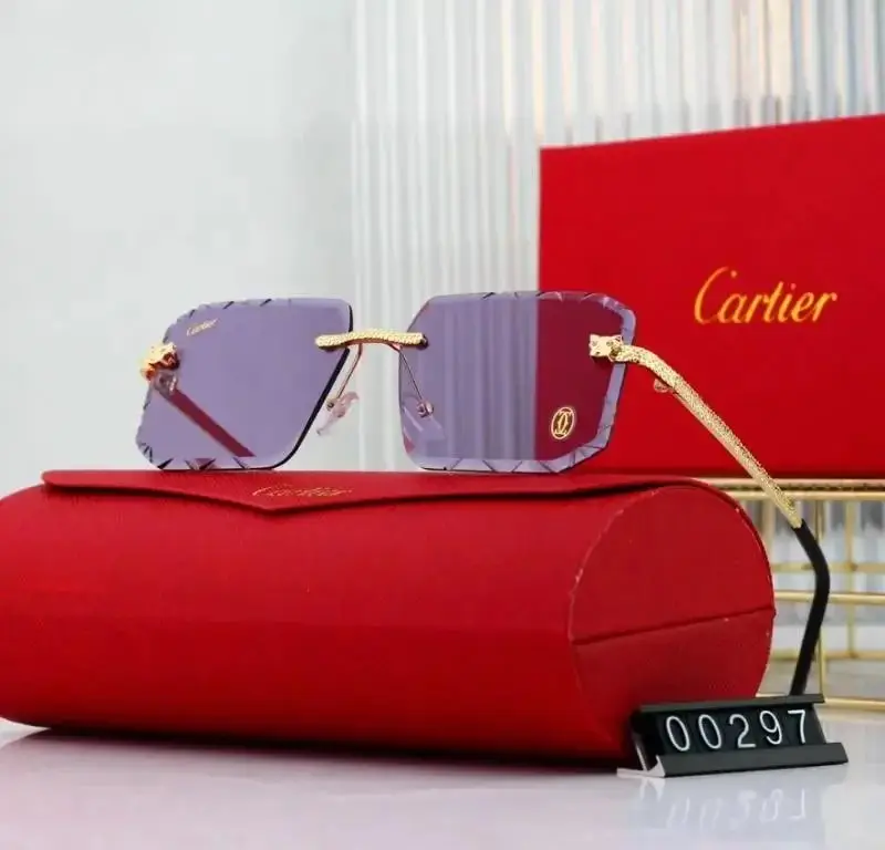 Cartier Sunglasses — foto 7 de 10