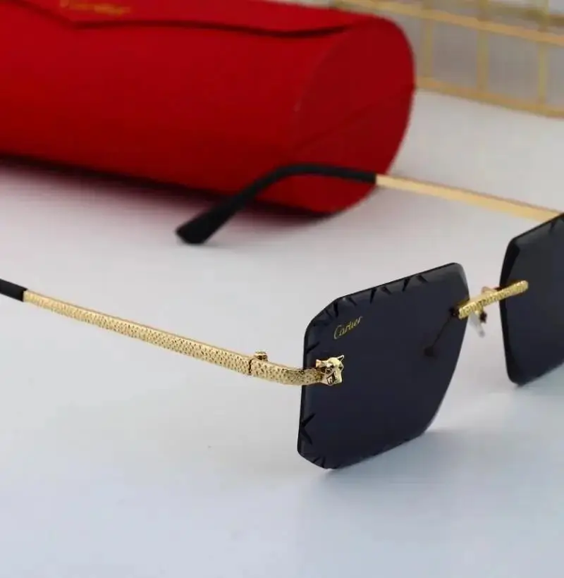 Cartier Sunglasses — foto 9 de 10