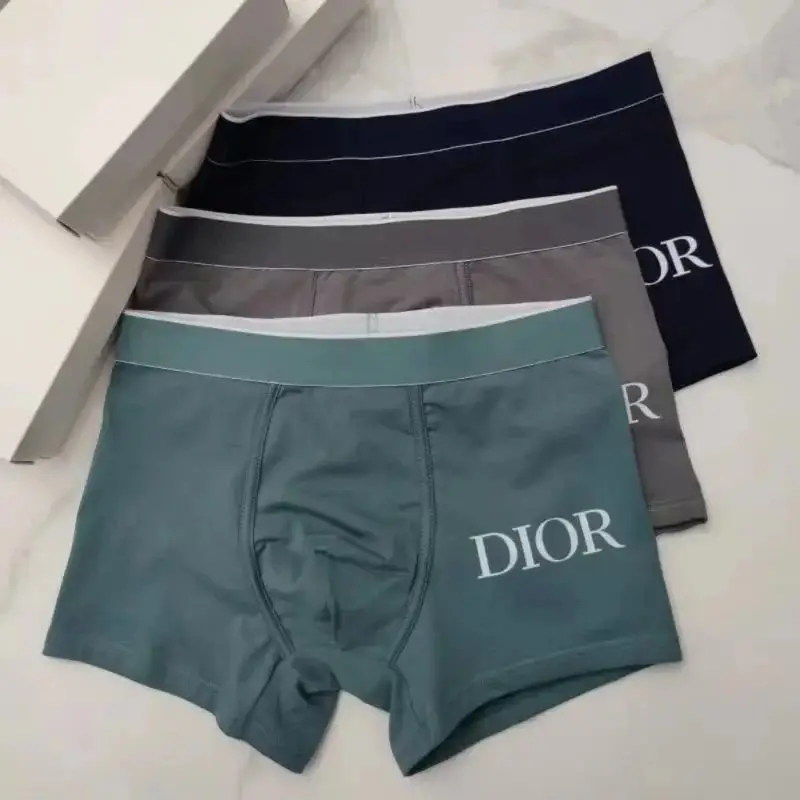 Dior Underwear — foto 12 de 14