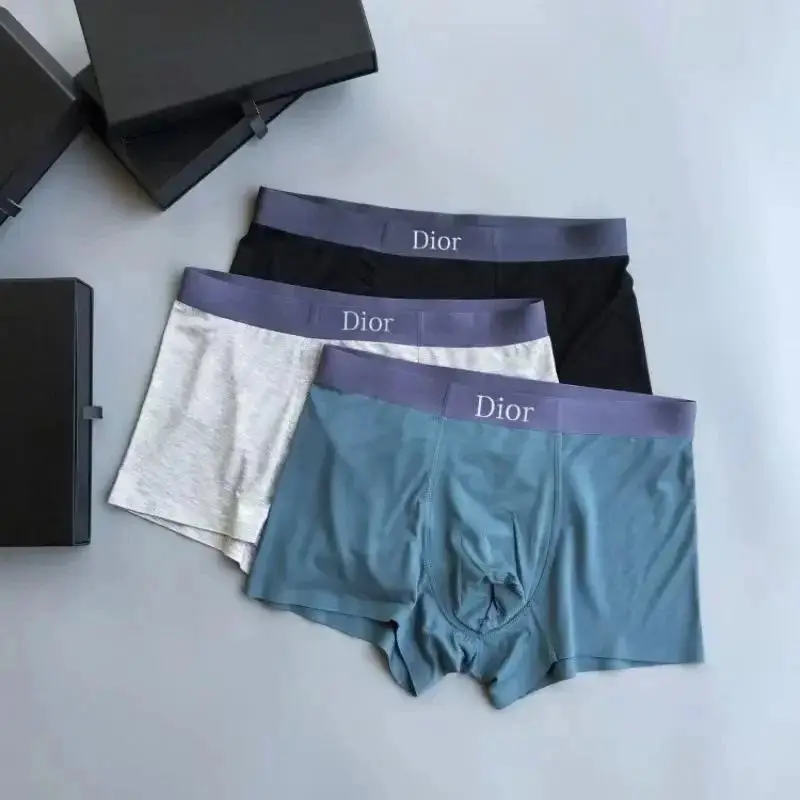 Dior Underwear — foto 6 de 14