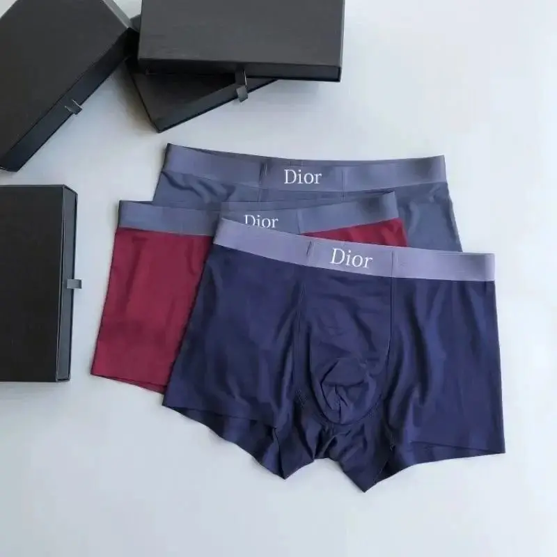 Dior Underwear — foto 7 de 14