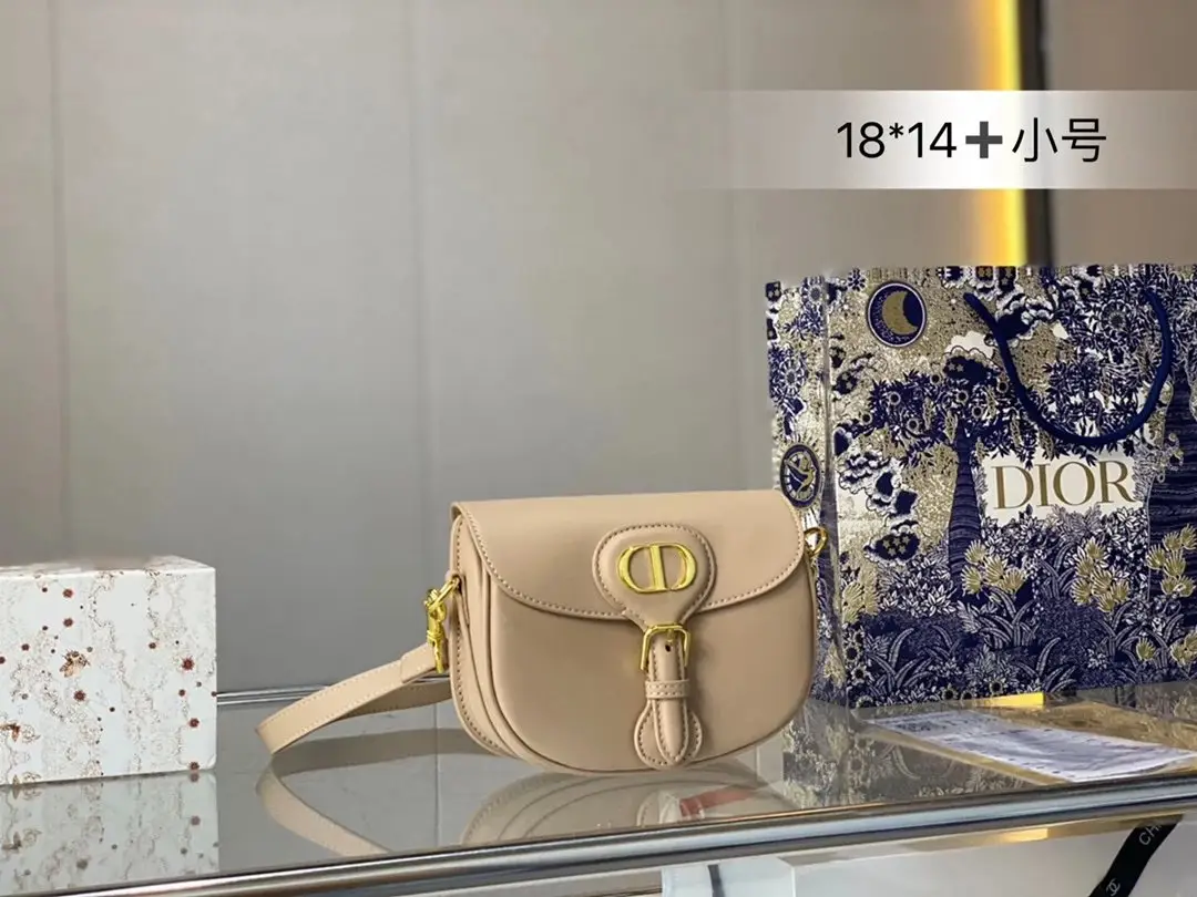 Dior Saddle Bag [15 styles] — foto 10 de 15
