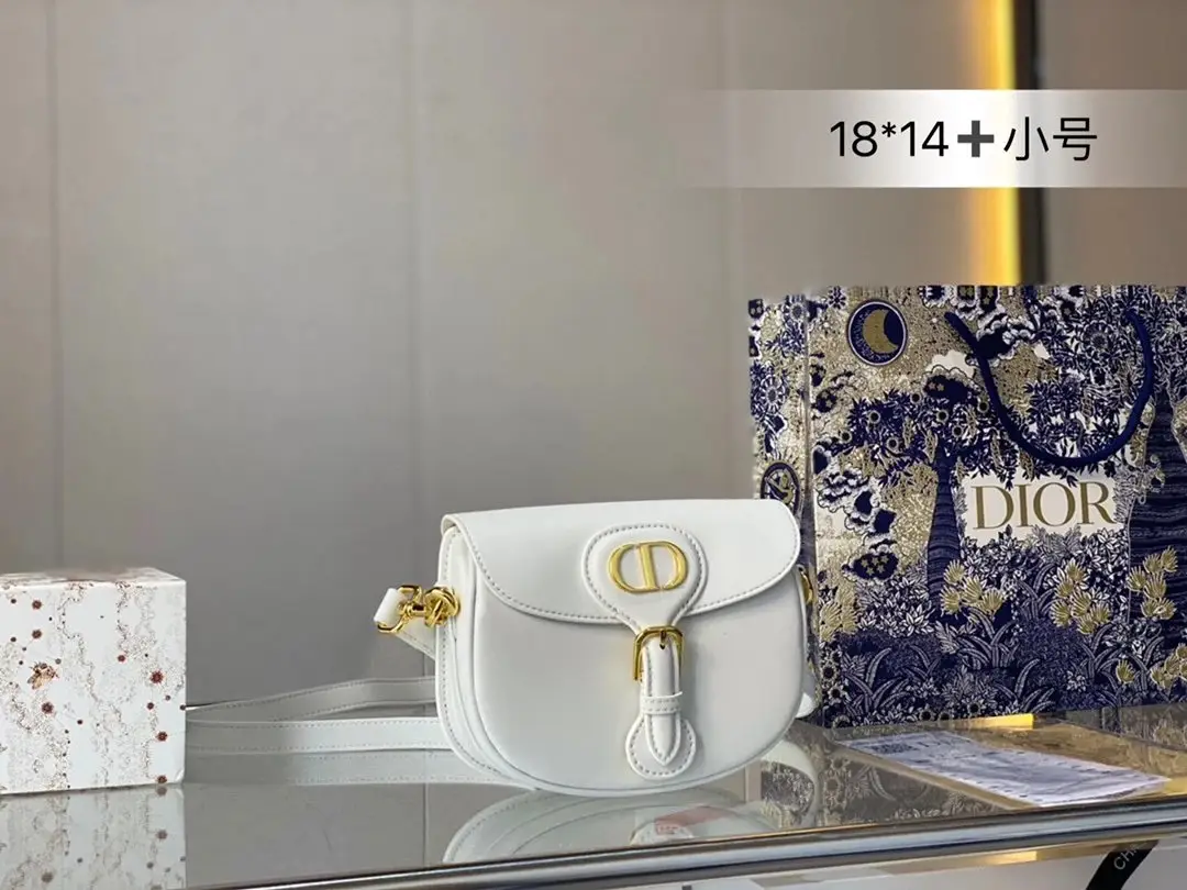 Dior Saddle Bag [15 styles] — foto 12 de 15