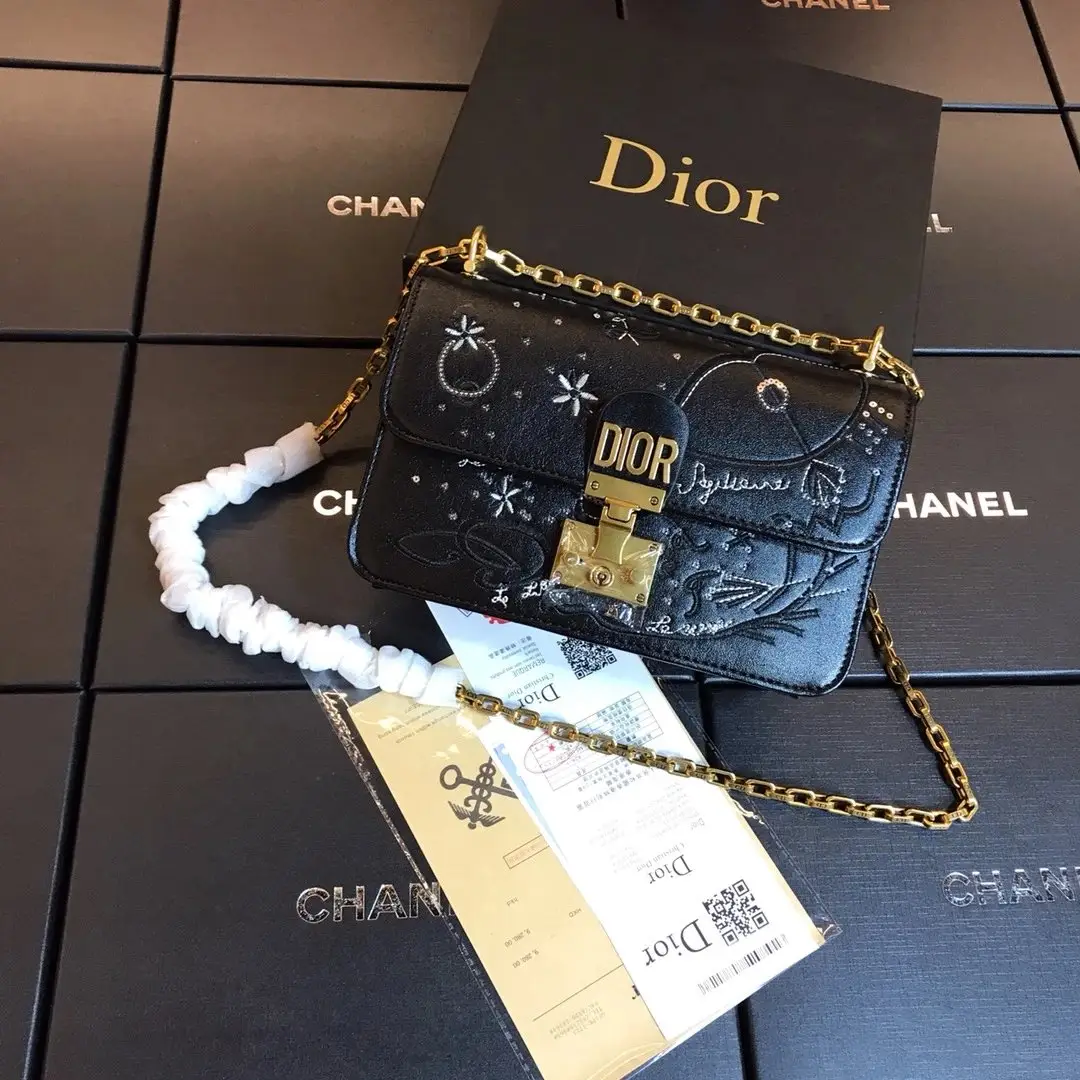 Dior Chain Bag [13 styles]
